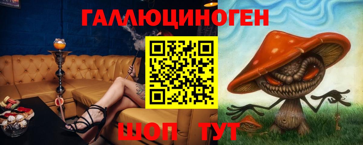 где найти   Псилоцибиновые грибы Cubensis  Саяногорск  Вход с VPN  Псилоцибиновые грибы прущие грибы 
