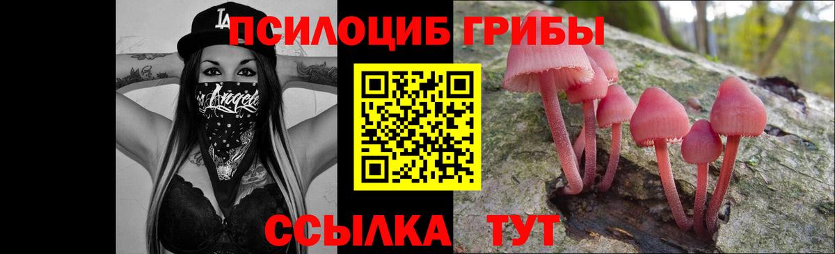 Галлюциногенные грибы мицелий Саяногорск